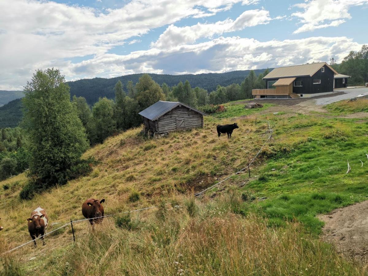 Na Er Vinteren Kommet Til Hallingdal Ål Exterior foto