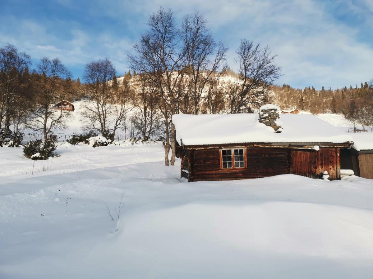 Na Er Vinteren Kommet Til Hallingdal Ål Exterior foto